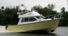 29' fast flying bridge cruiser 