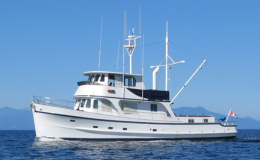 Island Eagle