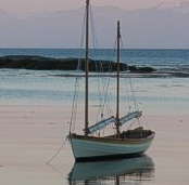 Tern at anchor on the north coast